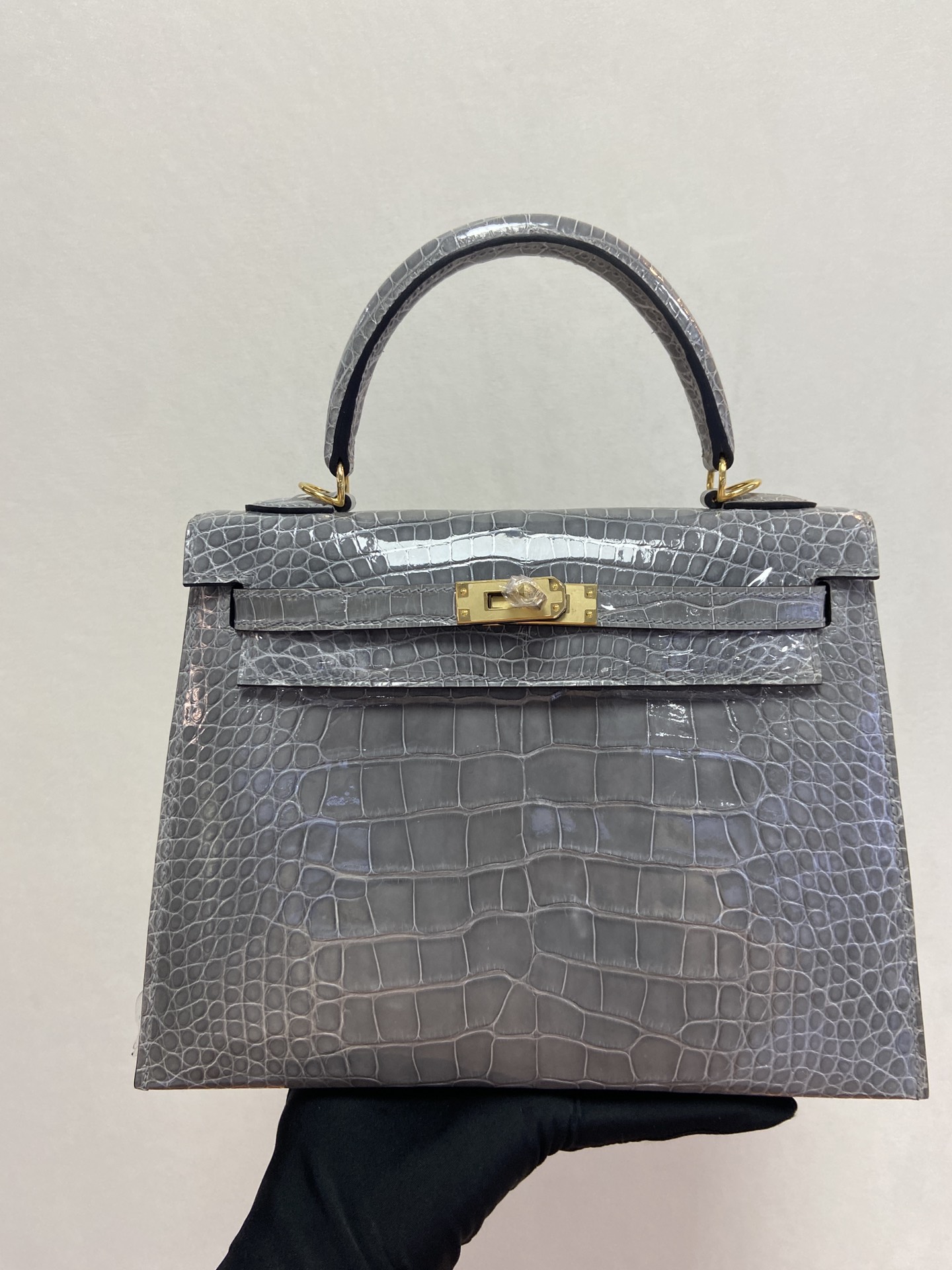 Hermes Kelly 25cm Handbag Shoulder Bag In Grey Etain Shiny Crocodile Niloticus Leather